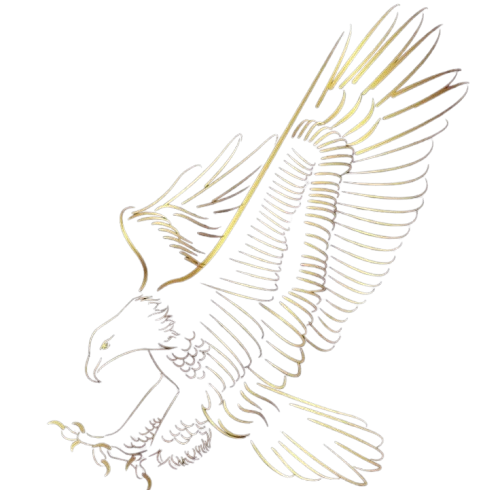 whatsapp image 2026 01 24 at 1.47.22 am 2 removebg preview